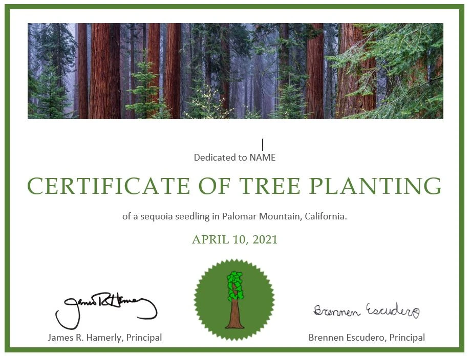 1080-certificateoftreeplantingjpg-17026034775724.jpg