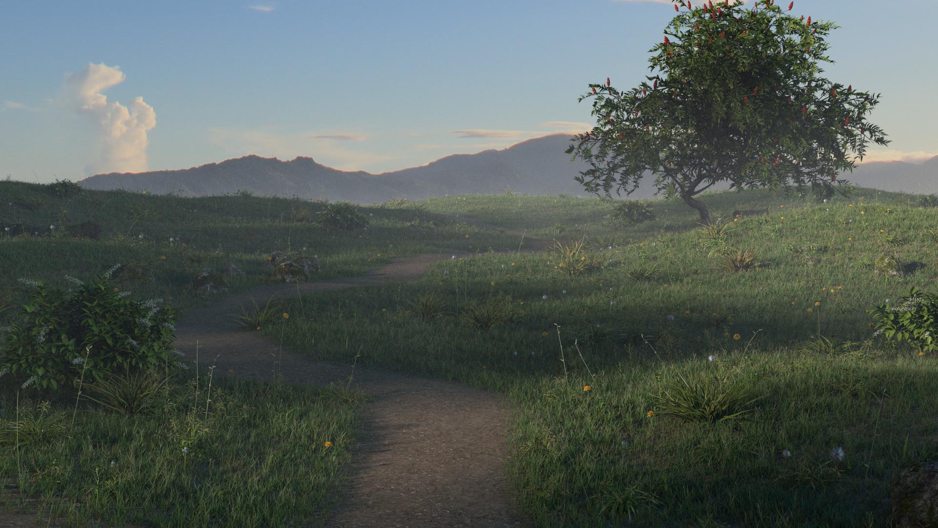 413-grassyfield00001.jpg