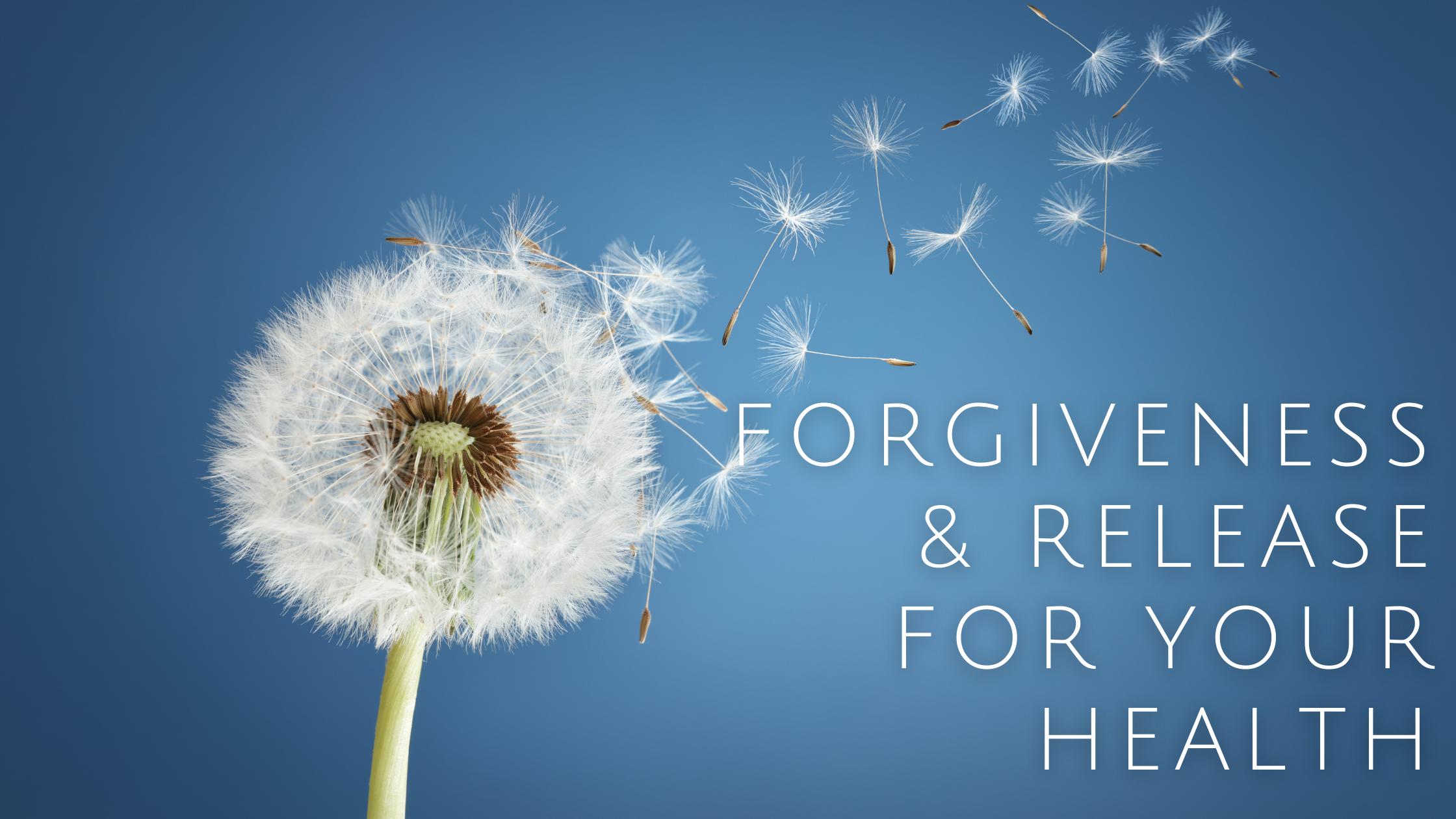 Forgive and Release for Your Health