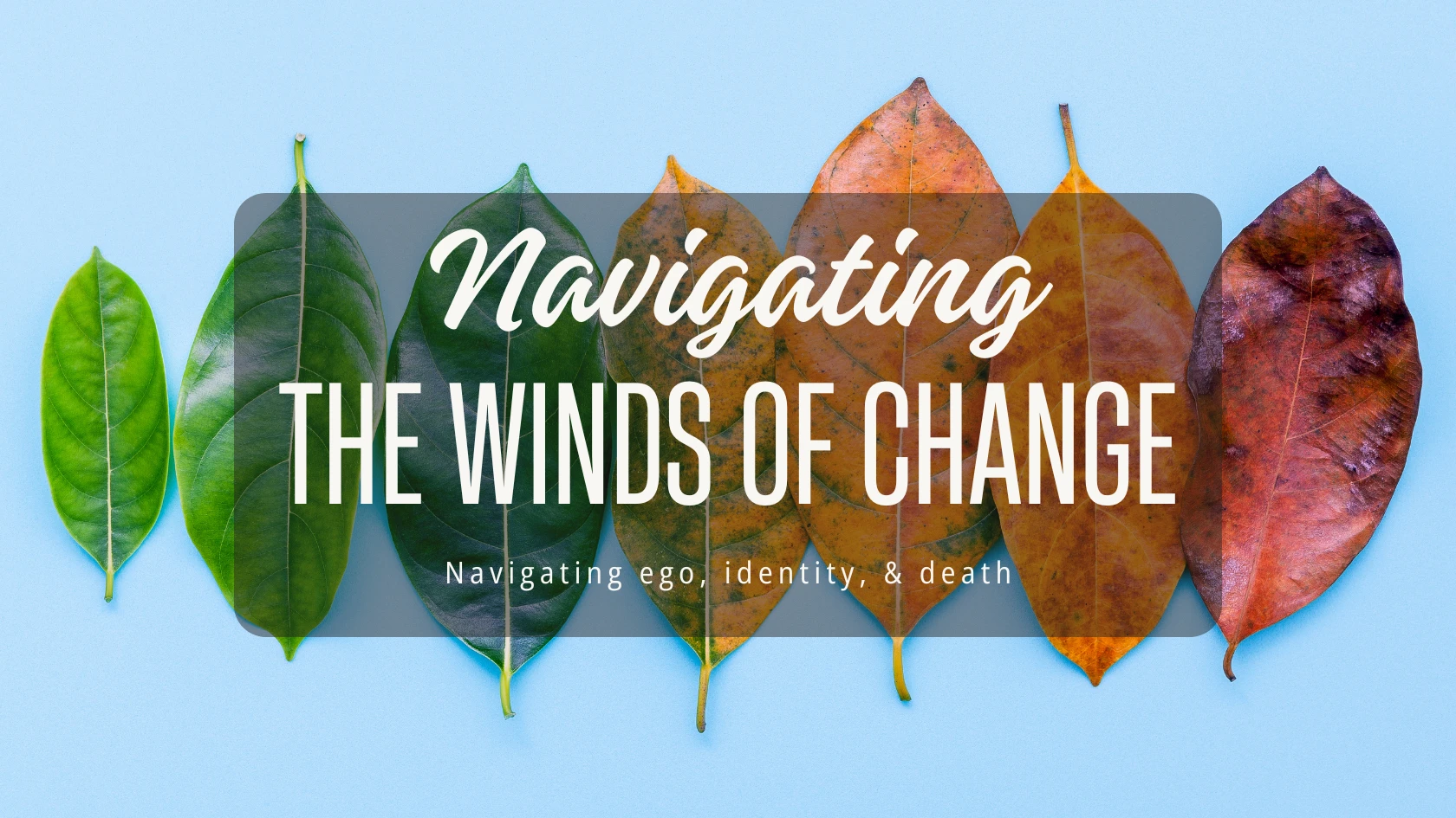 Navigating the Winds of Change