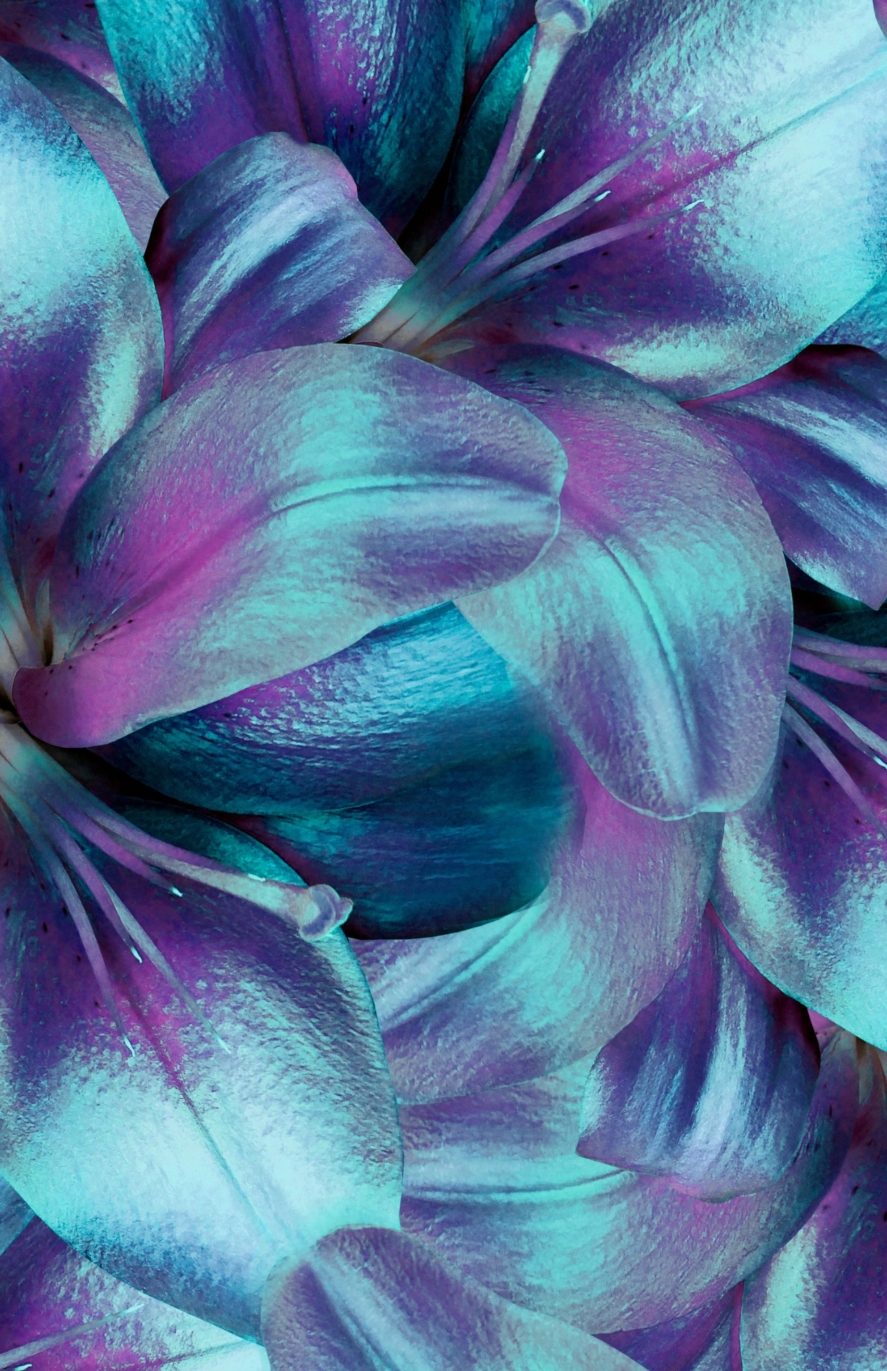 r405-48-1681330956822.png