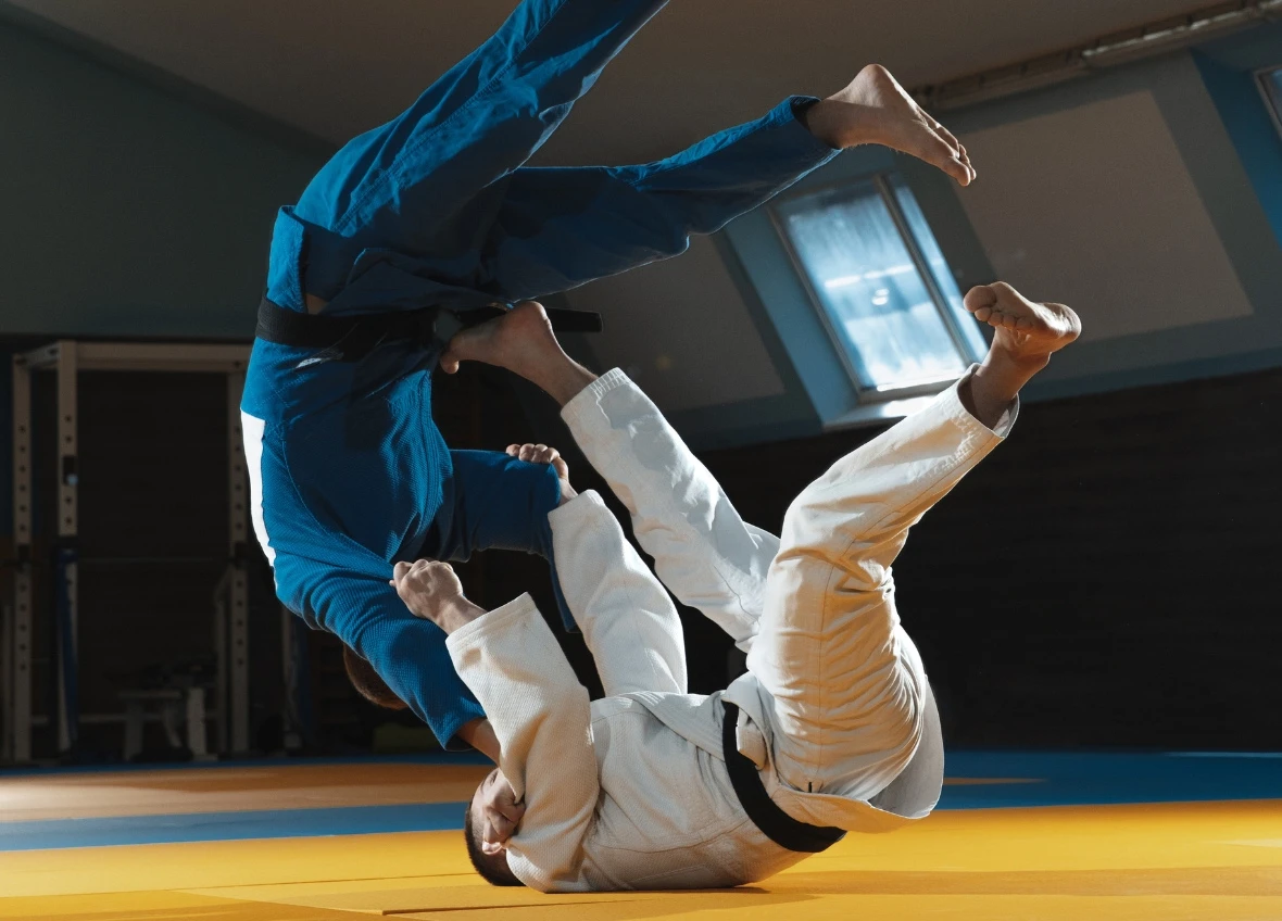 025011808481371-judo-1739190328819.png