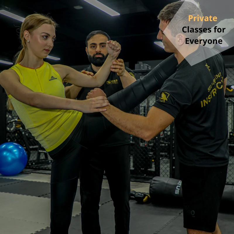 Private Self-Defense Classes