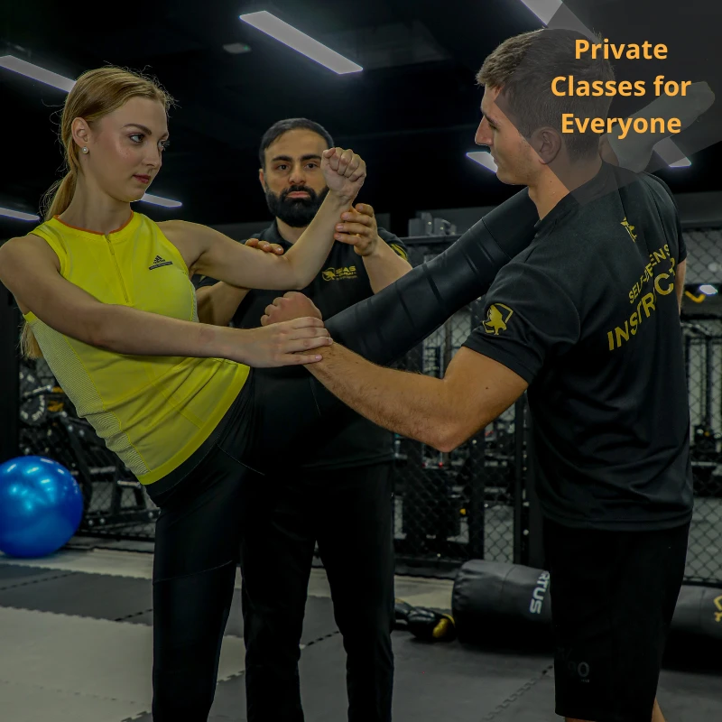 Private Self-Defense Classes