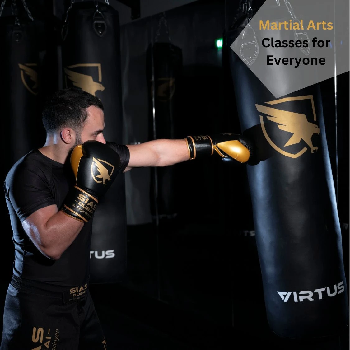 Martial Arts Classes for Everyone