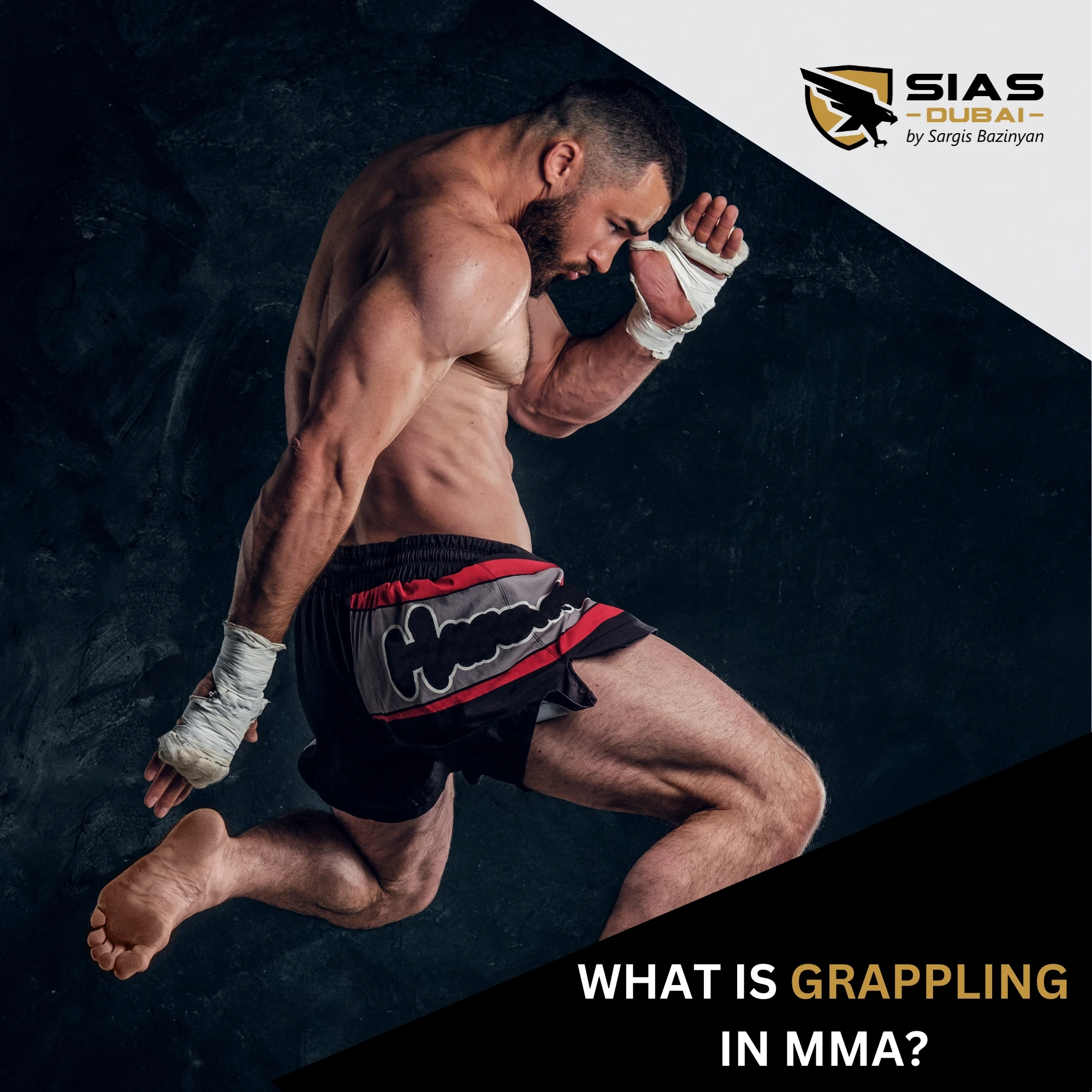 What is Grappling in MMA: Delving into its 7-Types