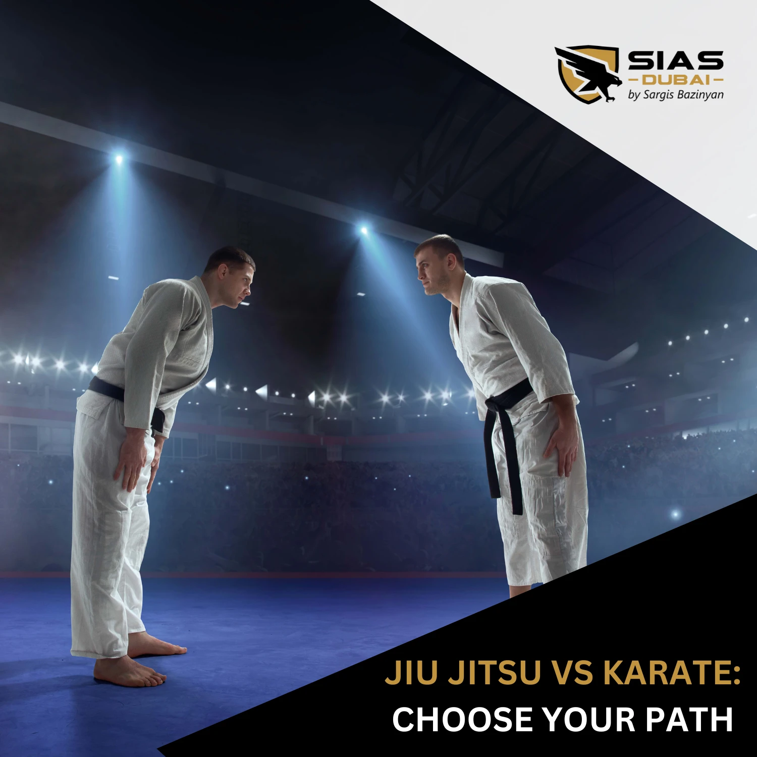 Jiu Jitsu vs Karate: Choosing Your Path