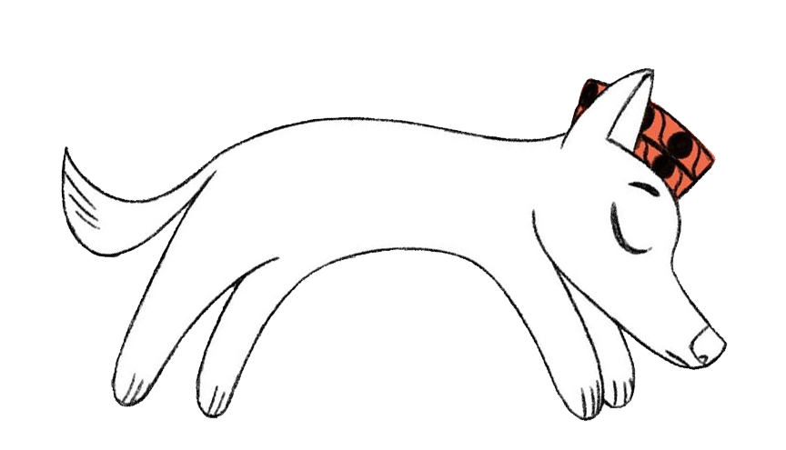 008644952554-pas-15785073860198.png