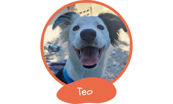 1104-teo-17476647827099.png