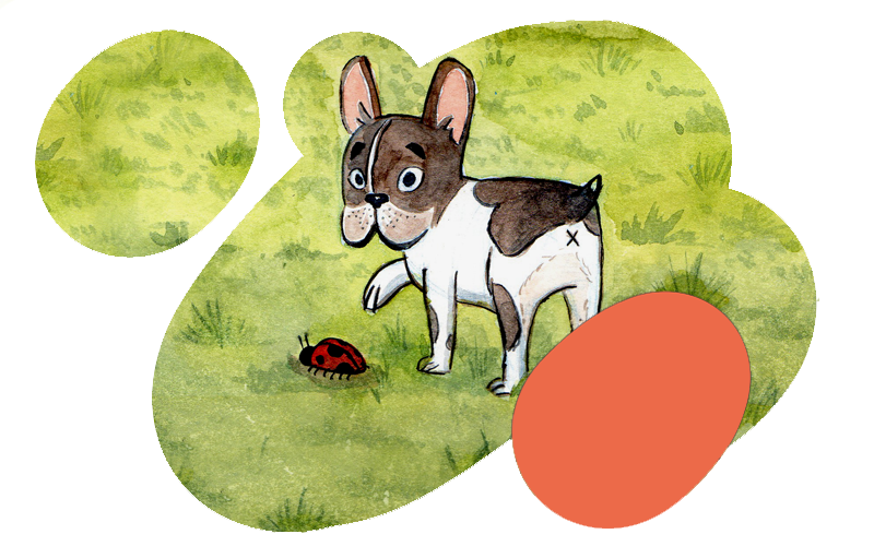 111-look.png
