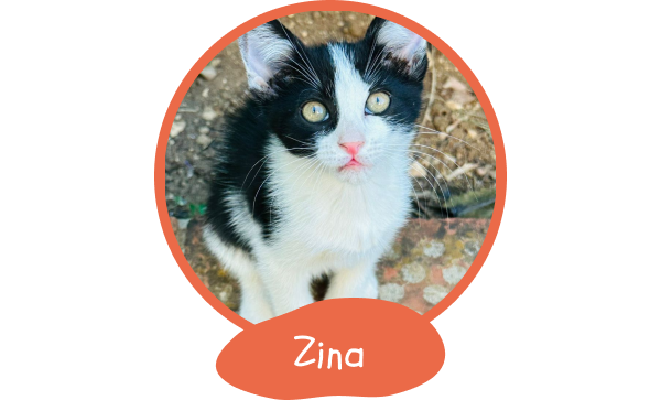 1128-zina-17490797745785.png