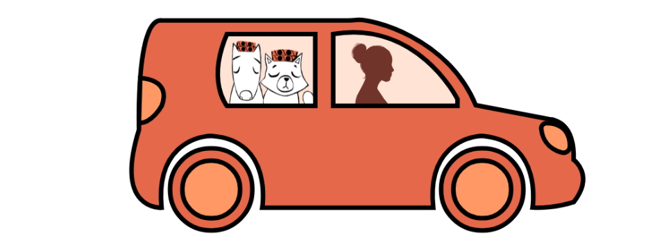 1161-kombi-17448358452408.png