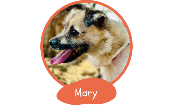 1197-marry2-17506995893817.png