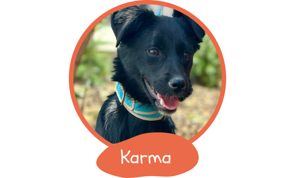 728-karma-17468987487389.png