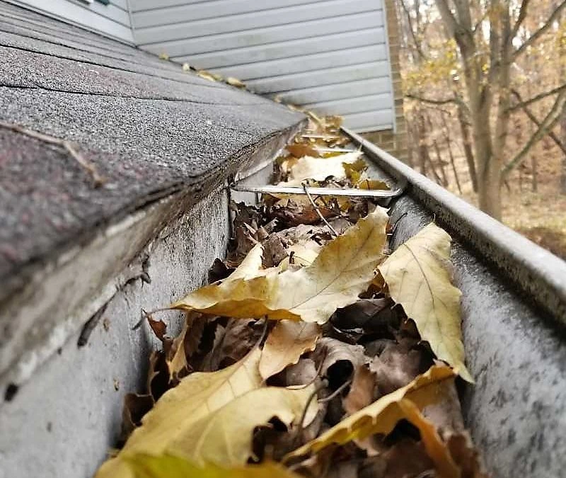 2052-liles-before-gutter-cleaning-800x675-17513137823421.jpg