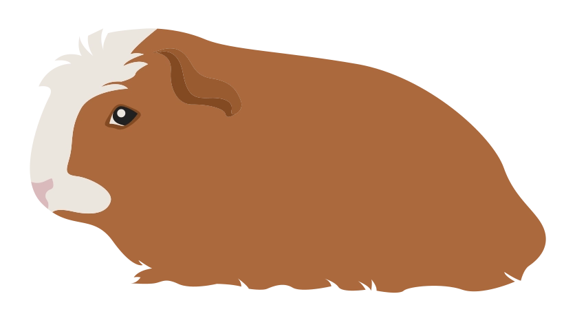 Крестед 1728-01porody-16795590112905.png