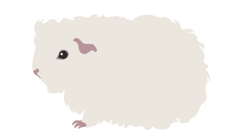 Мерино 1728-04porody-1679559010889.png