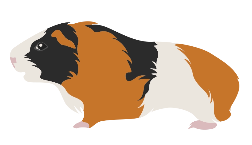 Рекс 1728-05porody-16795590111059.png