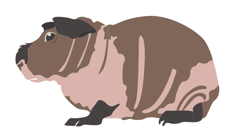 Скинни 1728-06porody-16795590112592.png