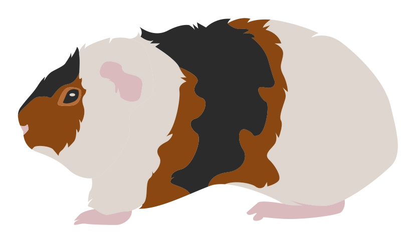 Тедди 1728-07porody-16795590112396.png