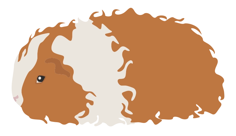 Тексель 1728-08porody-16795590109947.png