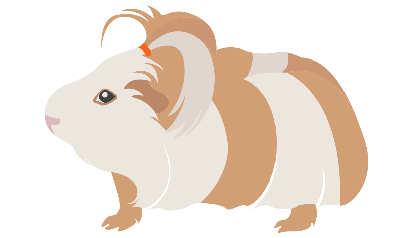 Шелти 1728-09porody-16795590112558.png