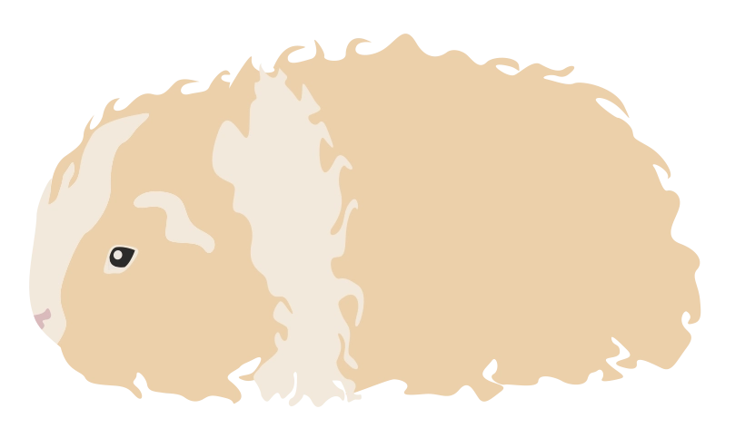 Альпака 1728-11porody-16795590112139.png