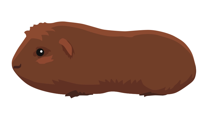 Агути 1728-12porody-16795590110331.png