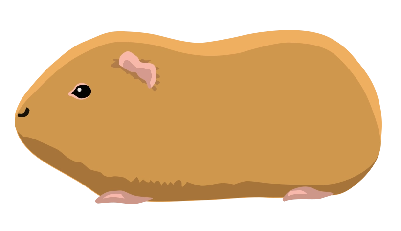 Сатиновая 1728-13porody-16795590112386.png