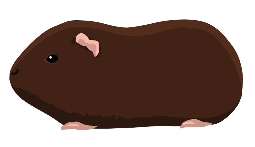 Селф 1728-14porody-16795590110727.png