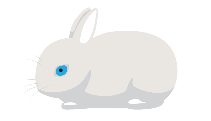 Польский кролик 2234-01polish-16795617371852.png