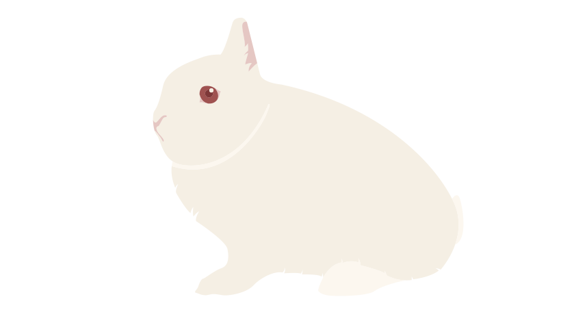 Гермелин 2234-05hermelin-16795617374957.png