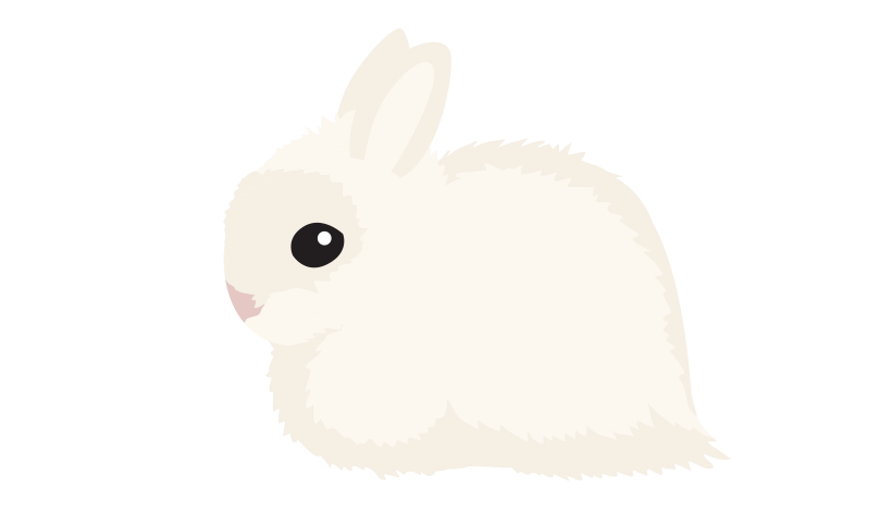 Карликовая русская ангора 2234-06ruangora-16795617375408.png