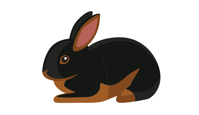 Цветной карлик 2234-color-16795617372049.png