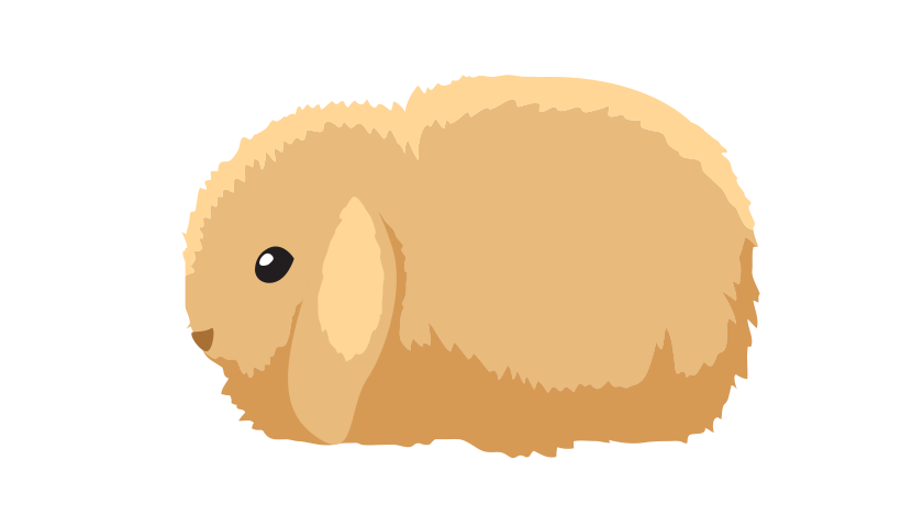 Миниатюрный вислоухий, Мини Лоп 2236-03minilol-16795617376233.png