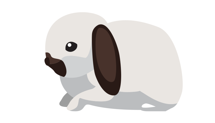 Голландский вислоухий 2236-04minilop-16795617371108.png