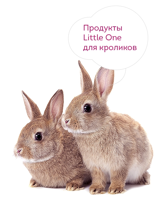 2761-rabbits-16795624864478.jpg