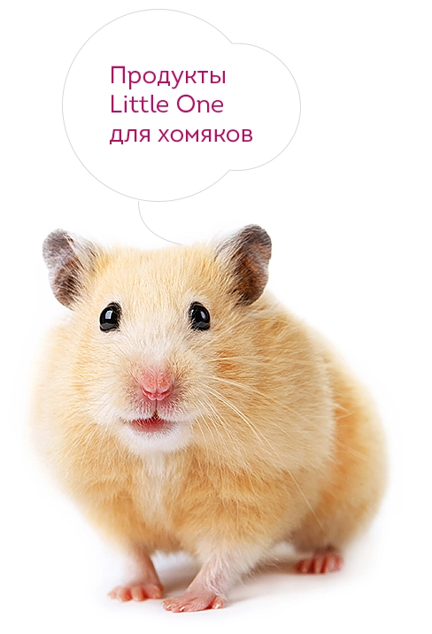 2812-hamster-16795721360143.jpg