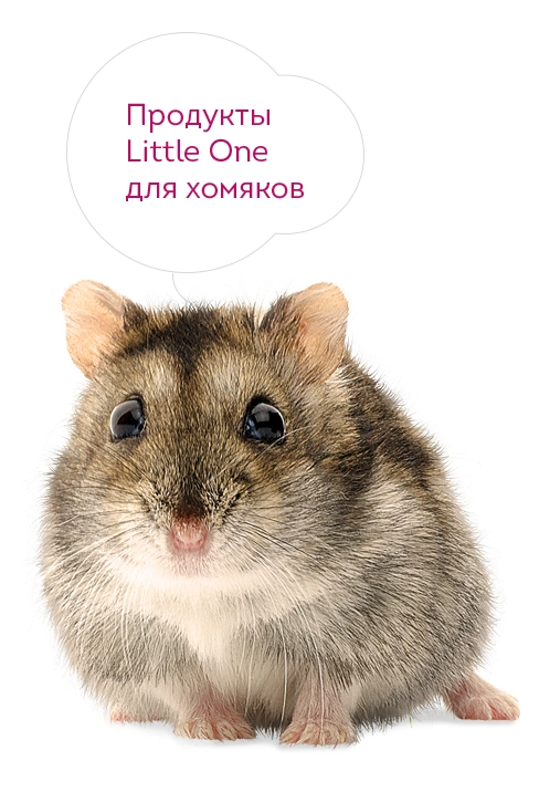 2819-smallhamster-16805335206816.jpg