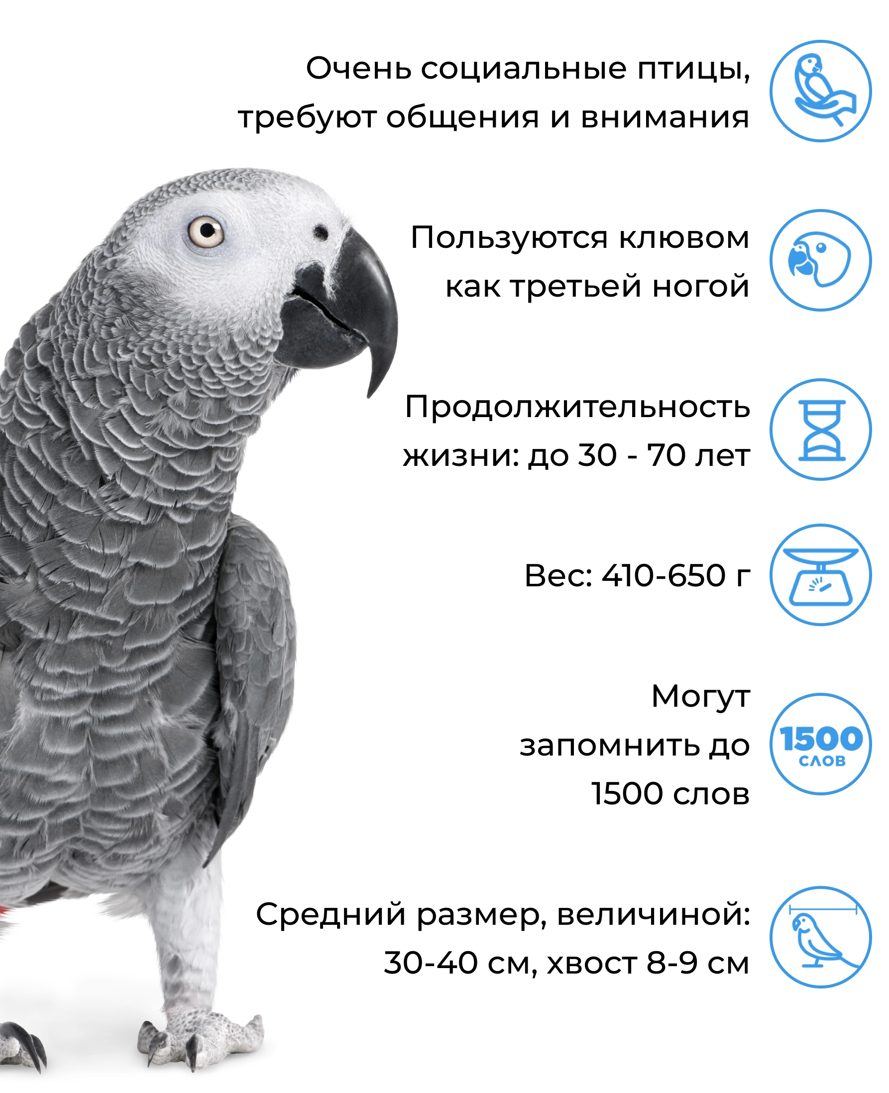 2878-жако-м-1681066719026.png