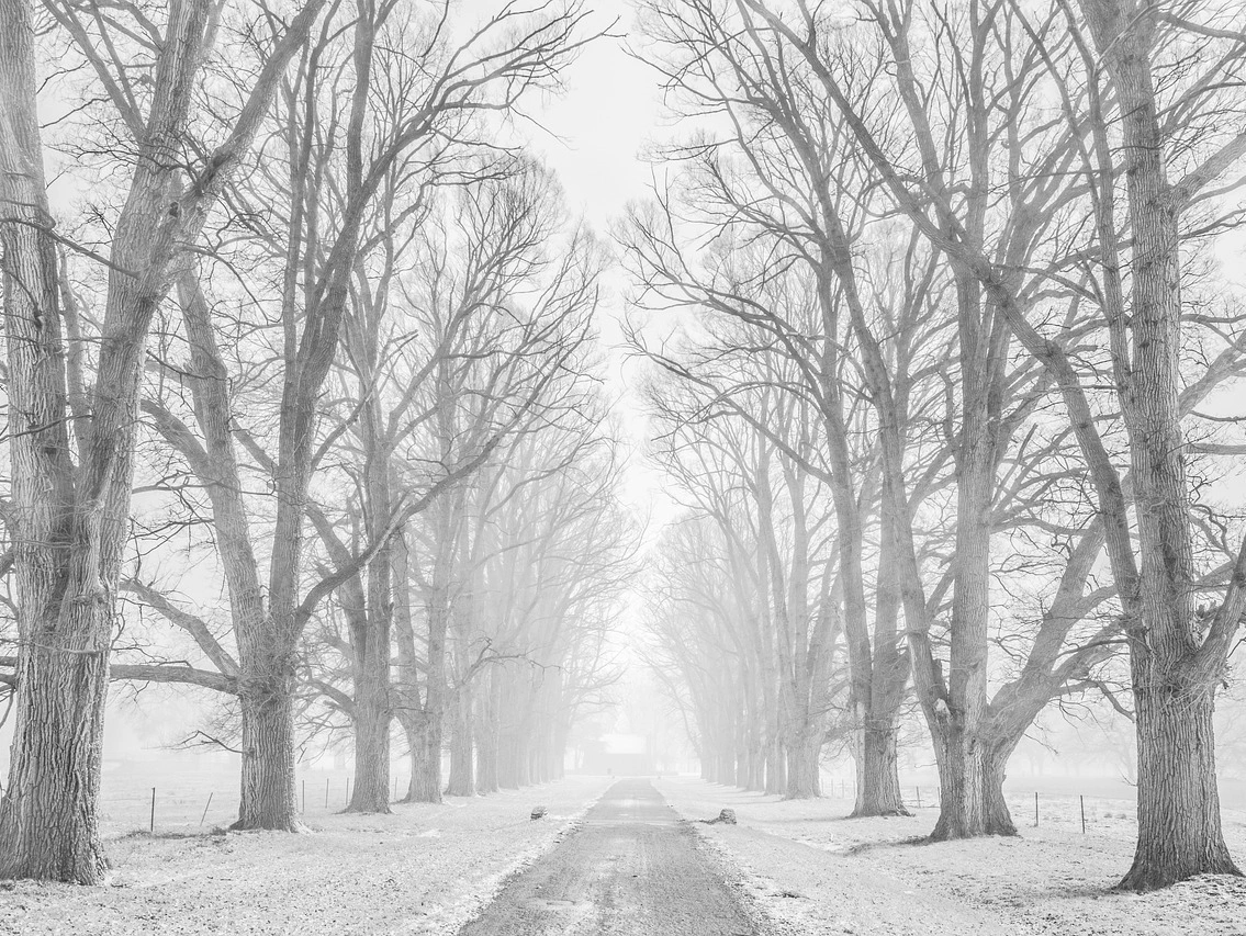 Finding Light in the Darker Months: Understanding and Managing Seasonal Depression