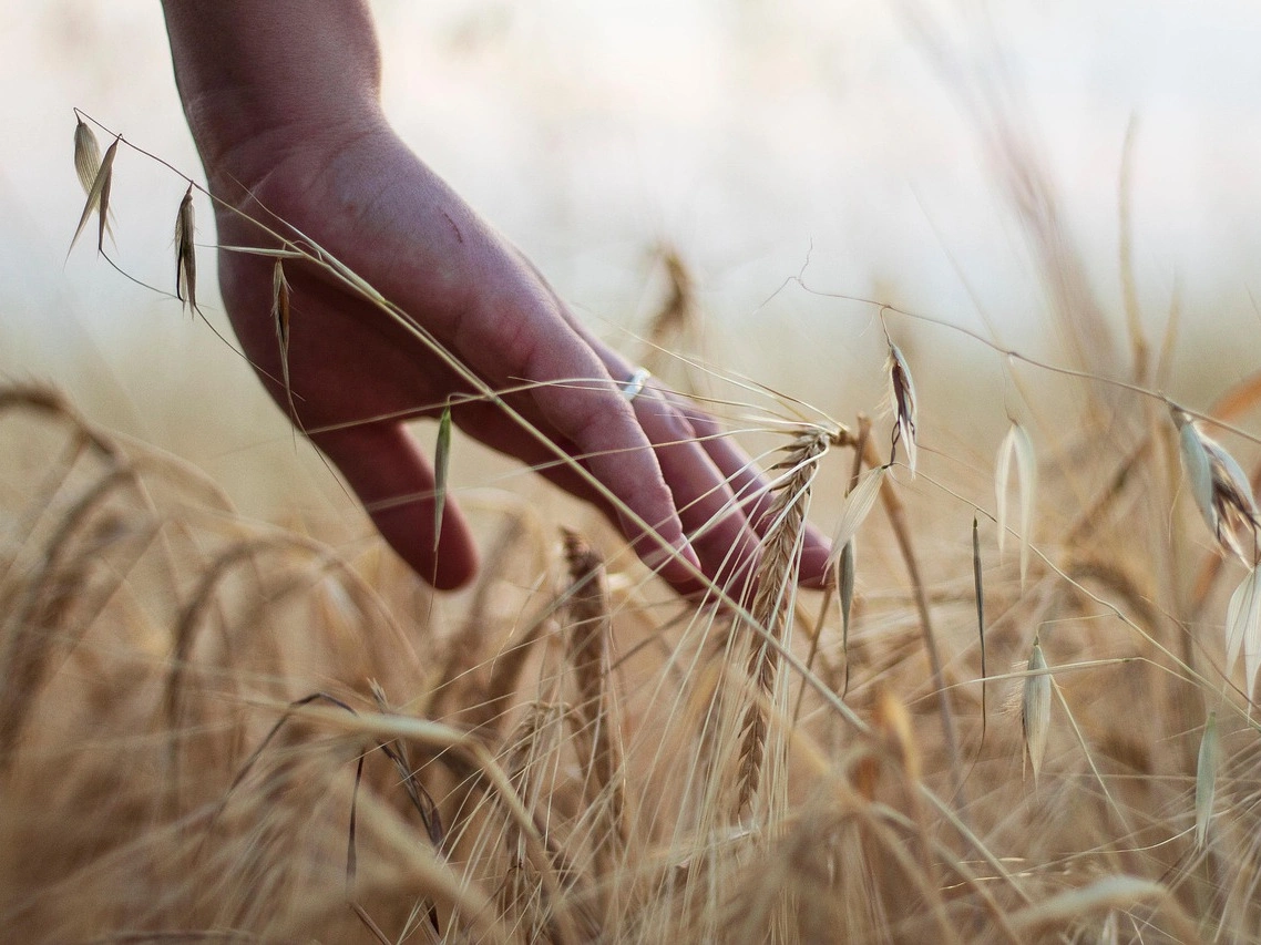 Grounding Techniques for Panic Attacks: How to Calm Your Mind & Body