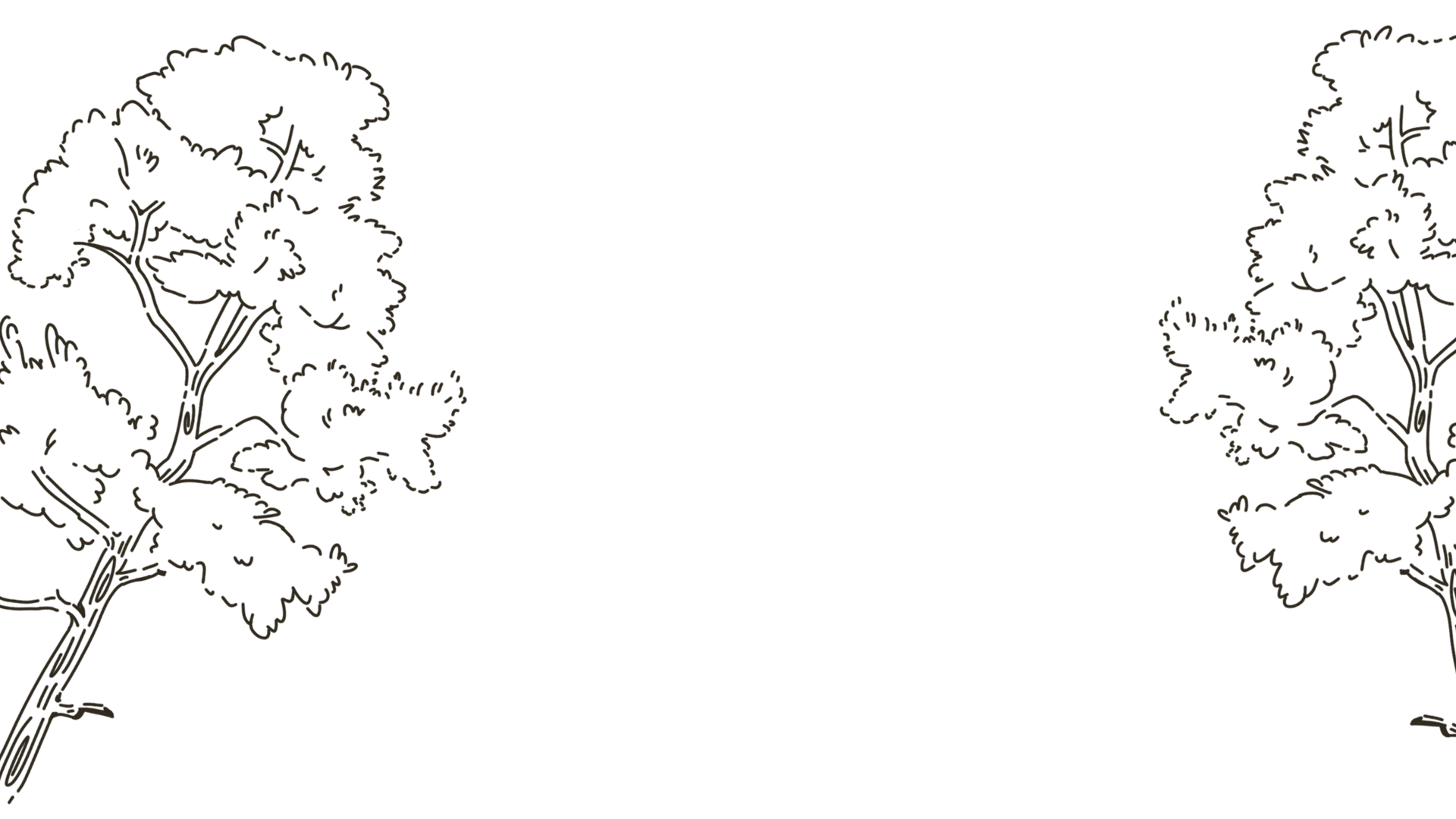 r361-bg-15419232769506.png