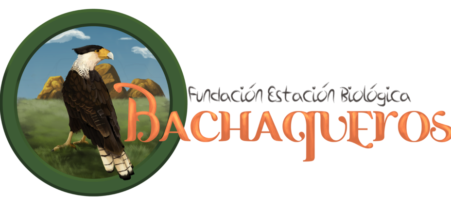 440928435594-nuevo-logo-febb.png