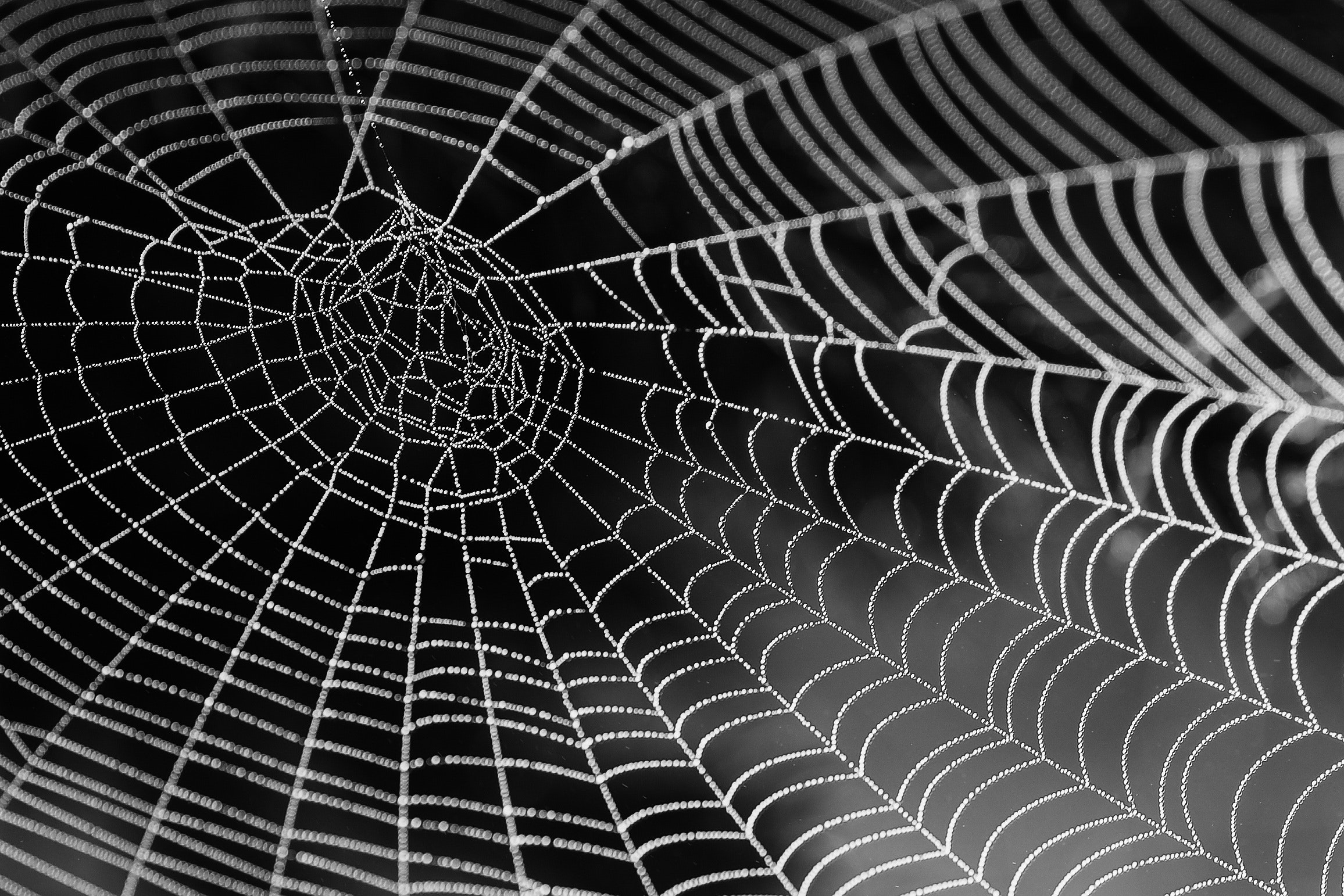 1267-1182-1182-985-985-914-914-699-699-608-608-r286-spiderweb-131-16430910825924.jpg