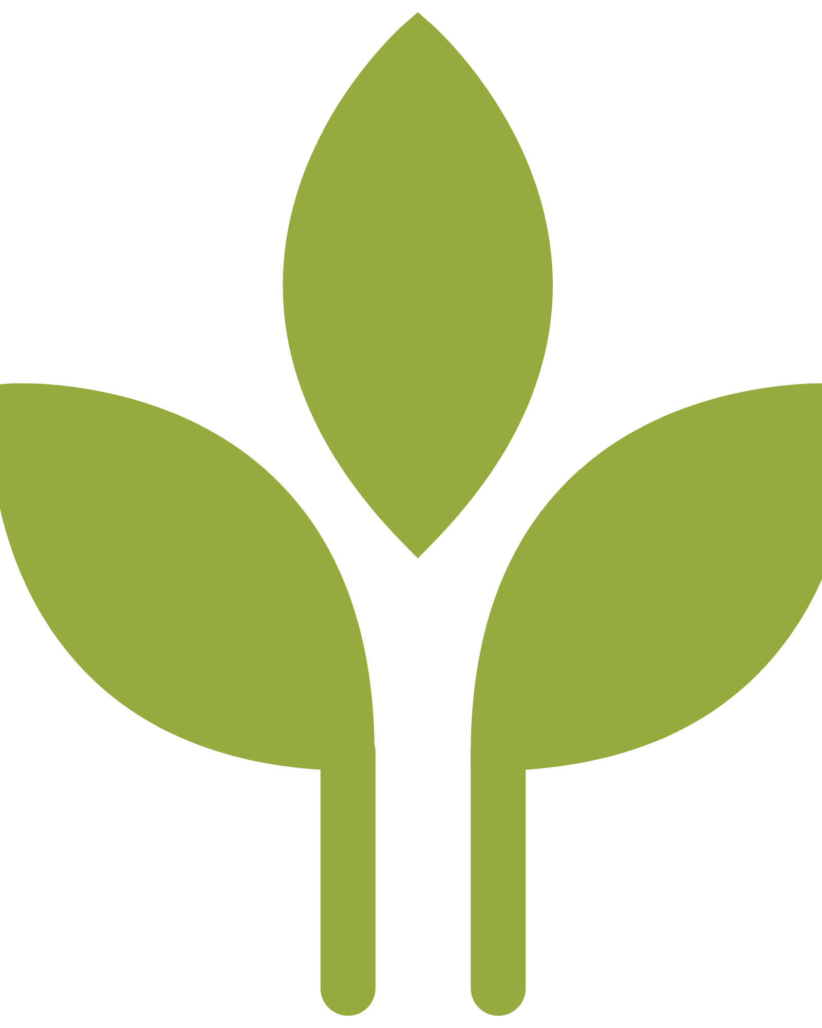 175016002000488-spindlefernfinallogoslarge-3-16194940533423.png