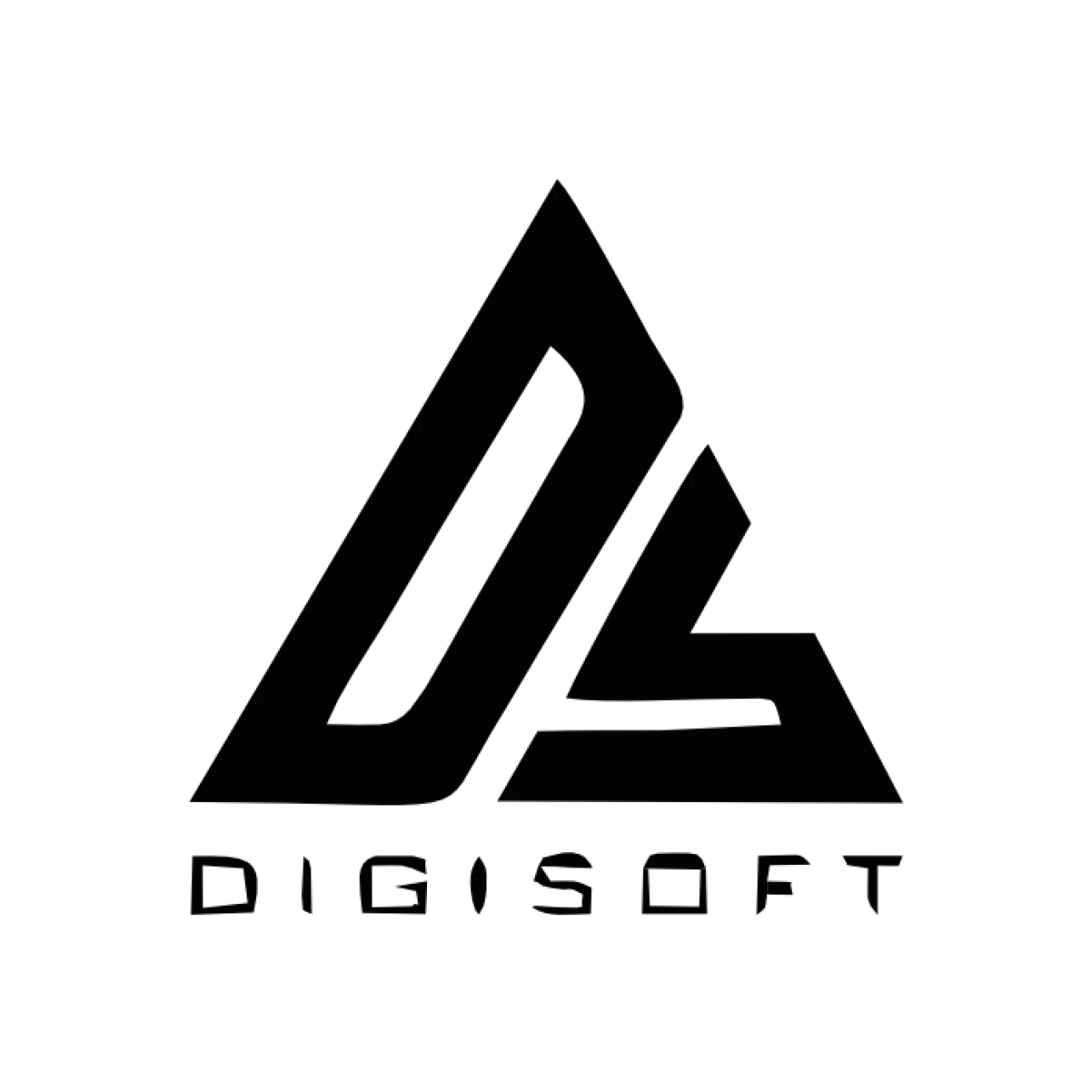 25718-digisoft-17331384595802.png