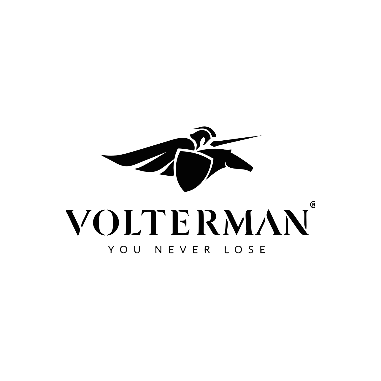 25718-volterman-17331385686197.png