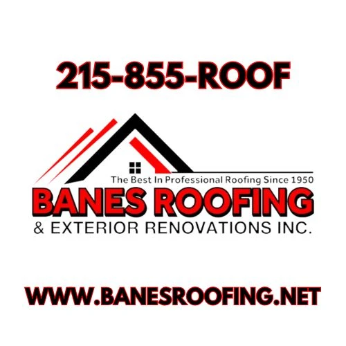429-banes-logo-number-website-17436953520974.jpg