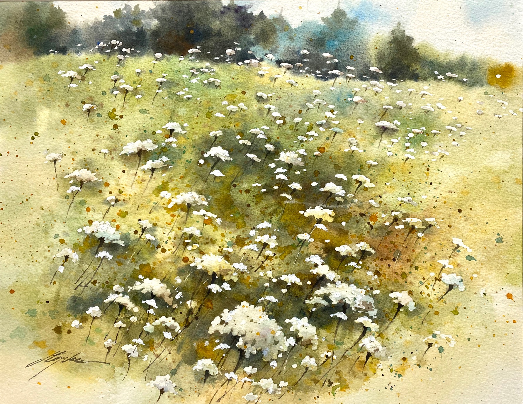 LS13 492-ls13.jpg